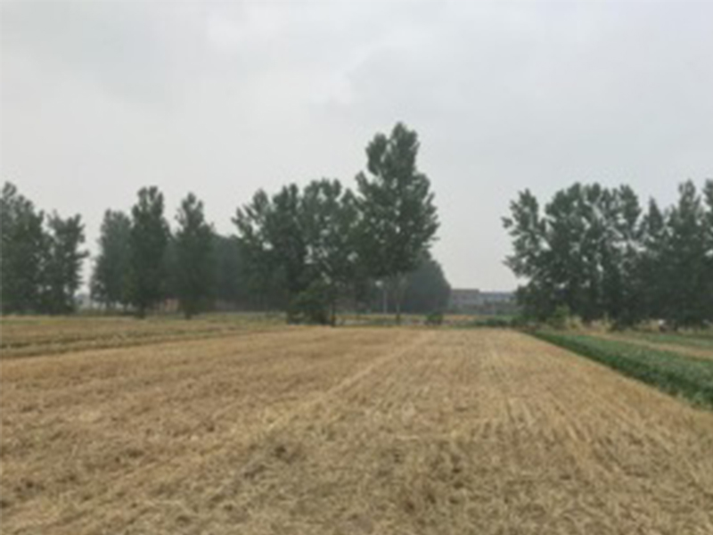 風(fēng)脈太康100MW風(fēng)電項(xiàng)目110kV升壓站工程環(huán)評報告表